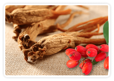 Ginseng